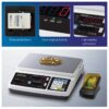 CAS PR-C-15 - 15kg / 0.5g - Image 2